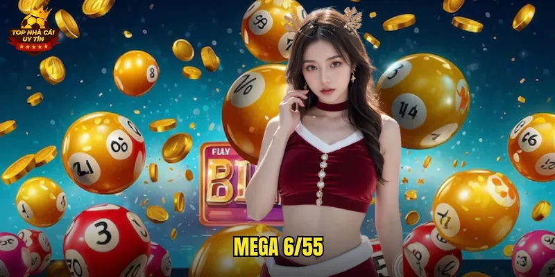 mega 6/55